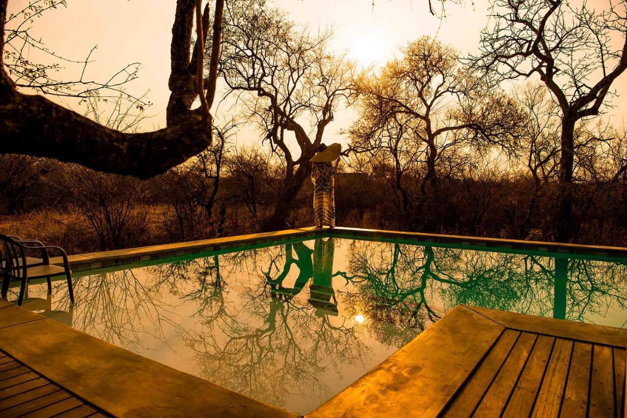 Safari Moon Luxury Bush Lodge Hoedspruit Extérieur photo