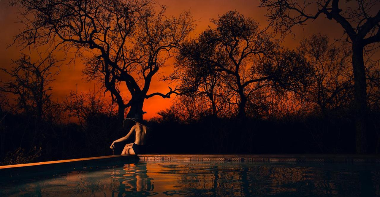 Safari Moon Luxury Bush Lodge Hoedspruit Extérieur photo